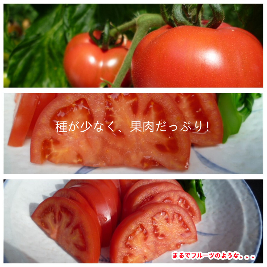 Mサイズ（14-16玉）赤土トマト ２ｋｇ 大玉トマト 大玉とまと 高糖度 トマトとまと 旨味 ミネラル成分 豊富 プレミアム ビタミンC リコピン
