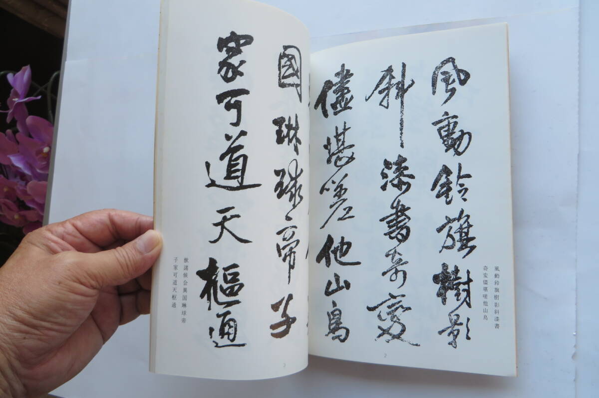 3406 王覚斯詩冊墨蹟 過訪帖 王鐸 行書 擬山園帖 湯若望　中国書道　平成2年_画像4