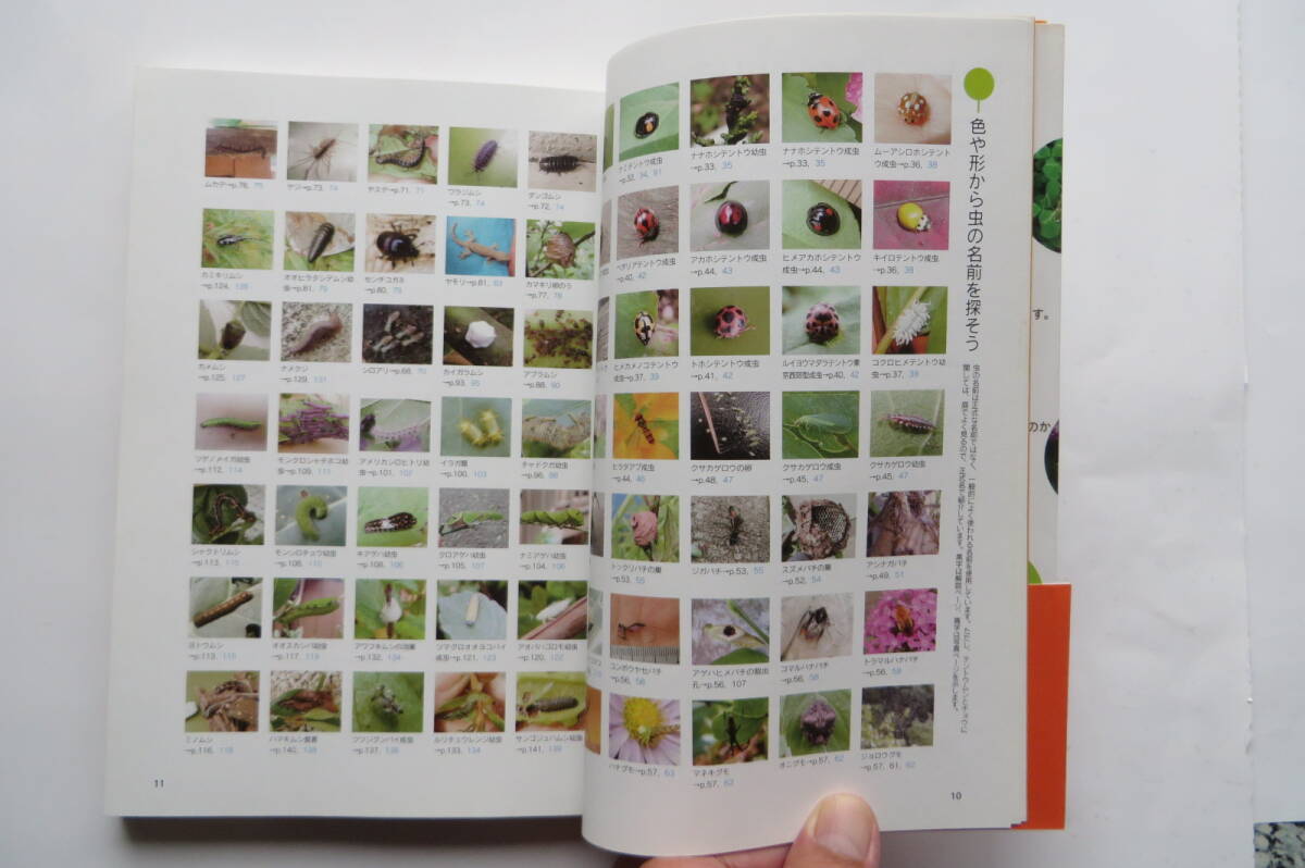 3662 虫といっしょに庭づくり : オーガニック・ガーデン・ハンドブック　2013_画像6