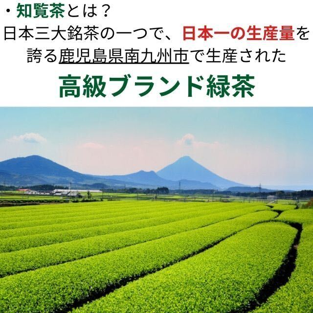 知覧茶 鹿児島県 知覧産 100g× 2袋 お茶 茶葉 葉 新茶 深蒸し 深むし茶 深蒸し茶 煎茶 日本茶 緑茶 鹿児島茶 送料無料 ギフト ランキング_画像2