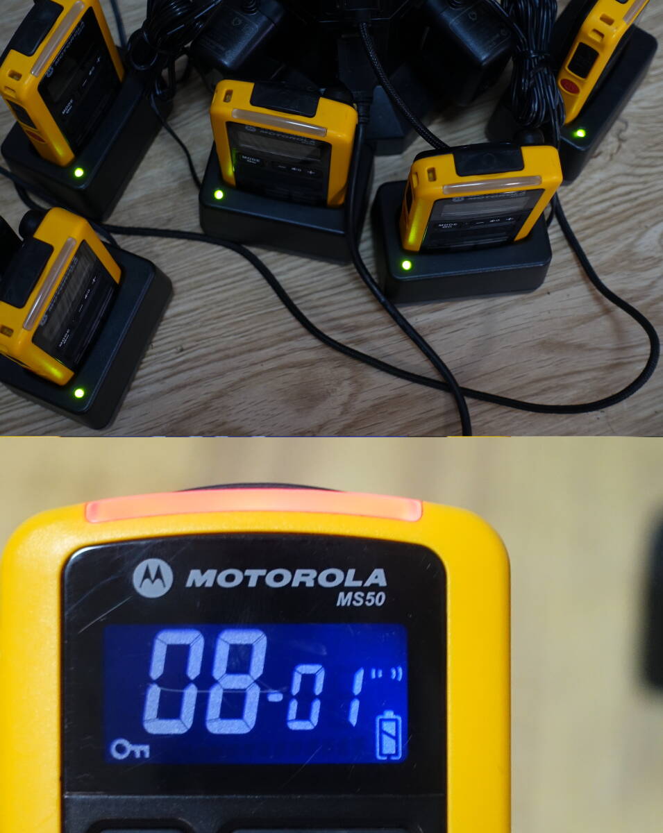 【5台セット 動作確認済】 MOTOROLA モトローラ 特定小電力 トランシーバー MS50 充電台付属 管理番号2593の画像4