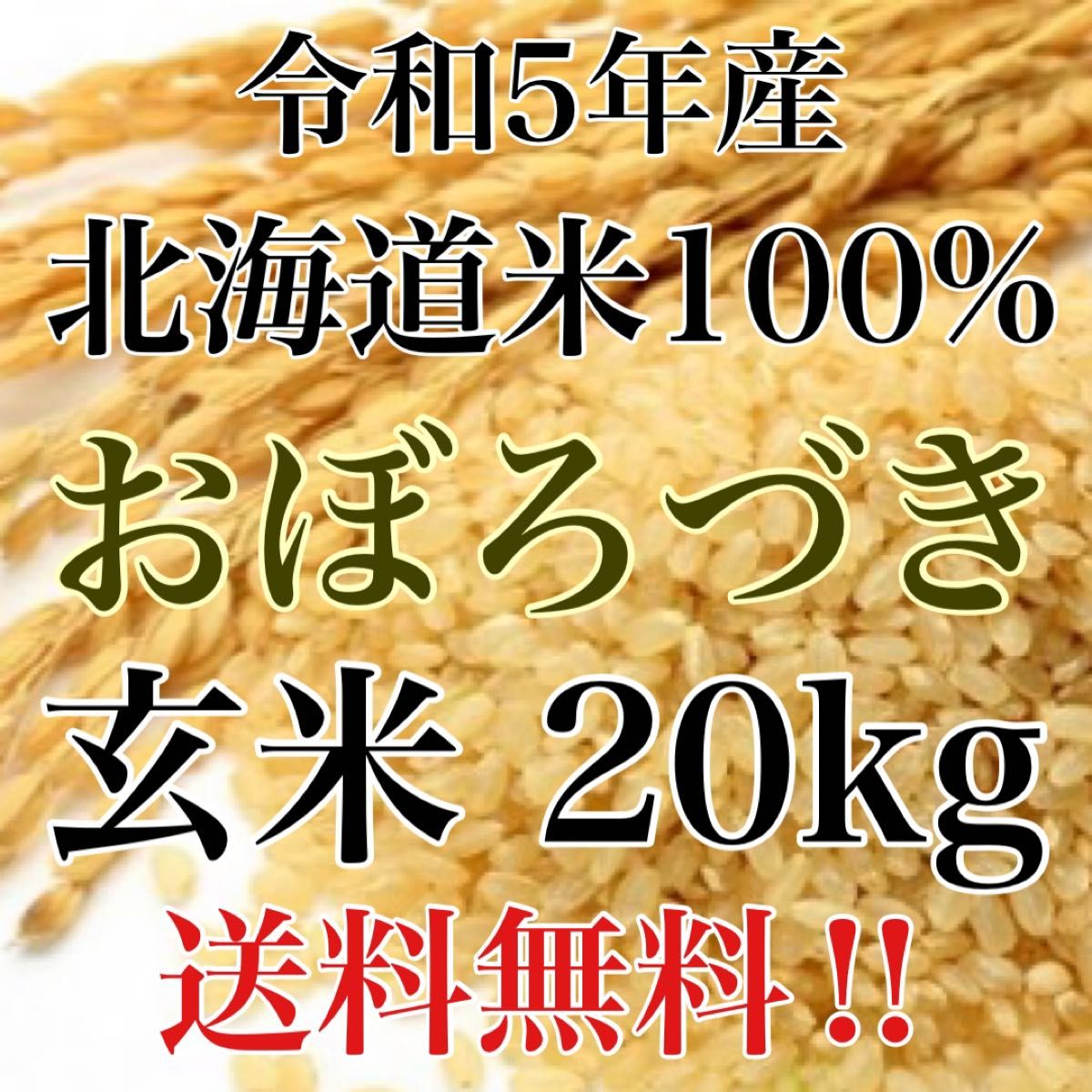 令和5年度産北海道米100%おぼろづき玄米20kg