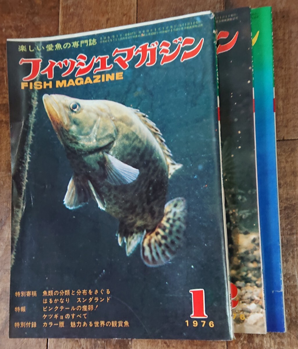  ежемесячный [ рыба журнал ]1~3 месяц номер 1976 год ( Showa 51 год ) версия. редкостный цена. есть старый журнал три шт. 