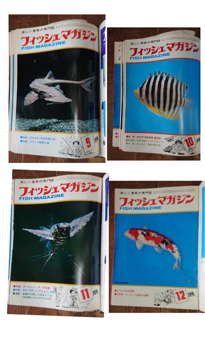 月刊フィッシュマガジン 稀少な12巻コンプリートセット 1975年(昭和50年)版 FISH MAGAZINE 緑書房 学術用 コレクション用に_画像4