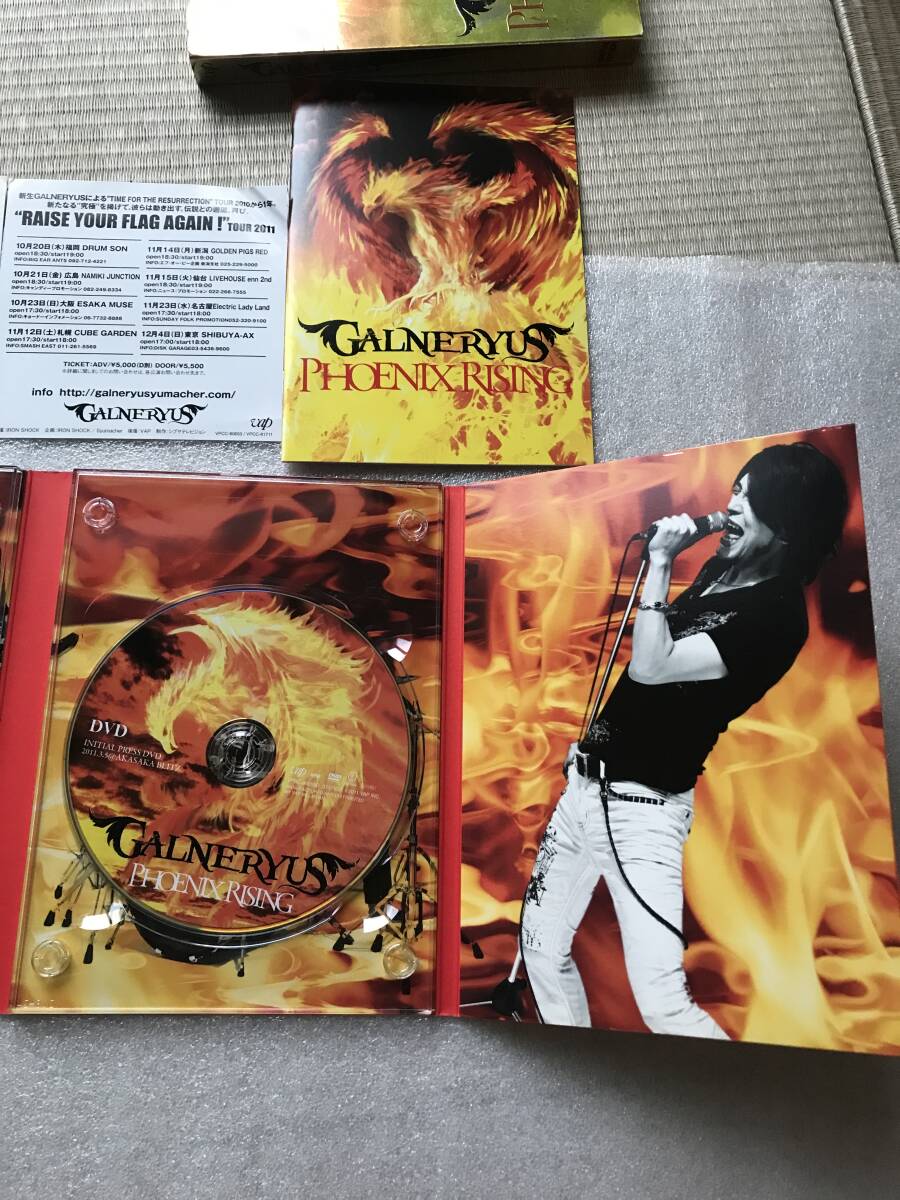 【 邦楽 中古 CD ＋ DVD 】GALNERYUS ガルネリウス PHOENIX RISING セル版 他多数出品中
