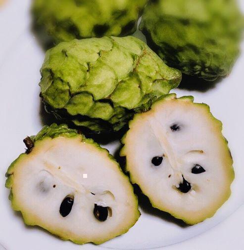 おすすめ！沖縄本島産 高級フルーツ、アテモヤの種子20粒の画像1