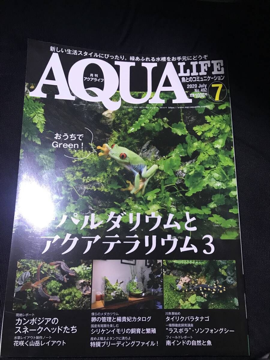 アクアライフ　パルダリウム特集　2020年7月　2021年7月_画像4