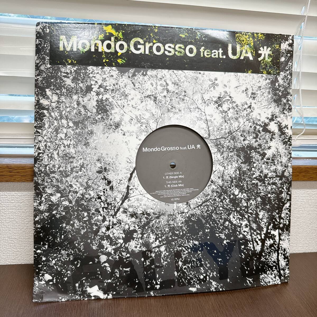 【05】レコード Mondo Grosso Feat. UA - 光_画像1