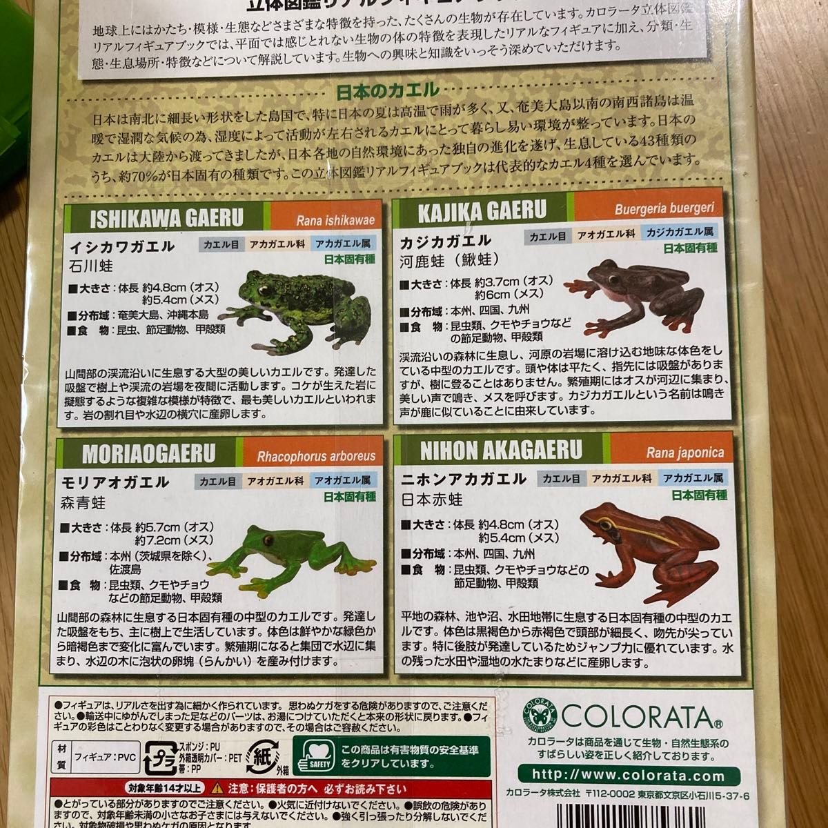 新品　フロッグボックス　オリジナルフィギュア　立体図鑑　日本のカエル　蛙　リアル