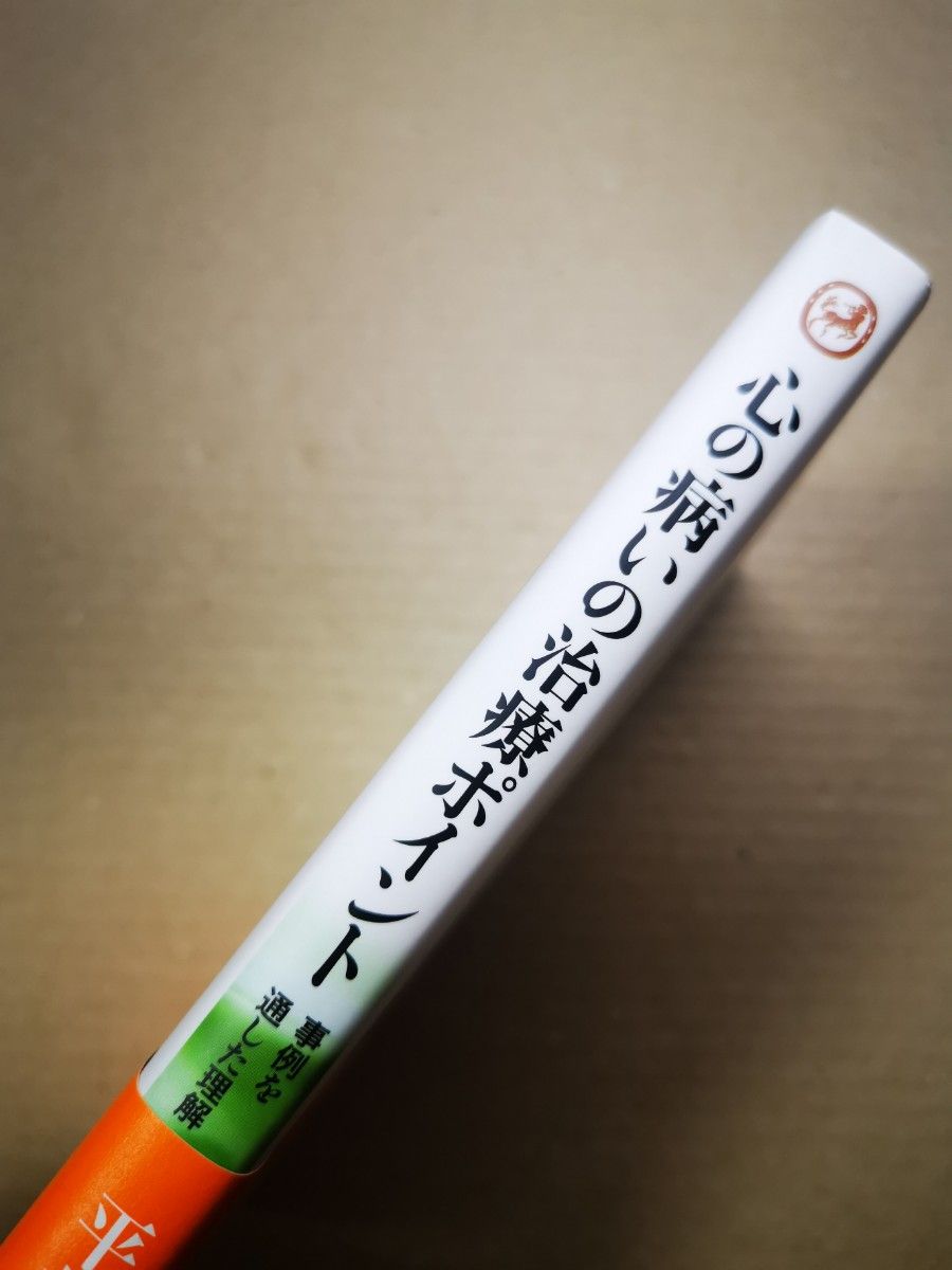 ■心の病いの治療ポイント　事例を通した理解 平井孝男／著■2405045-90