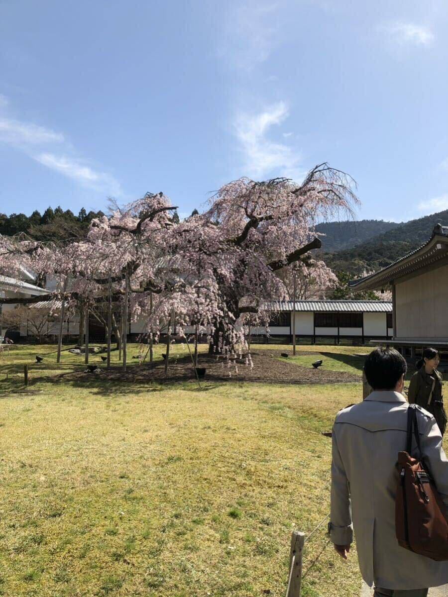 【即決1円】相互評価 商品説明内容必読！フリー画像データ③-6の画像1