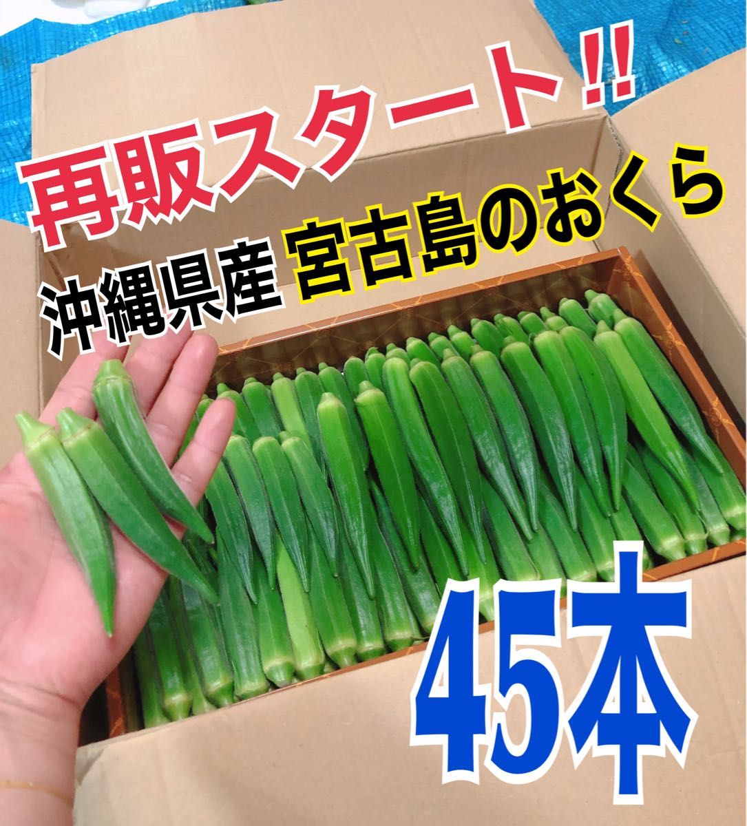 【45本】宮古島産　おくら　オクラ