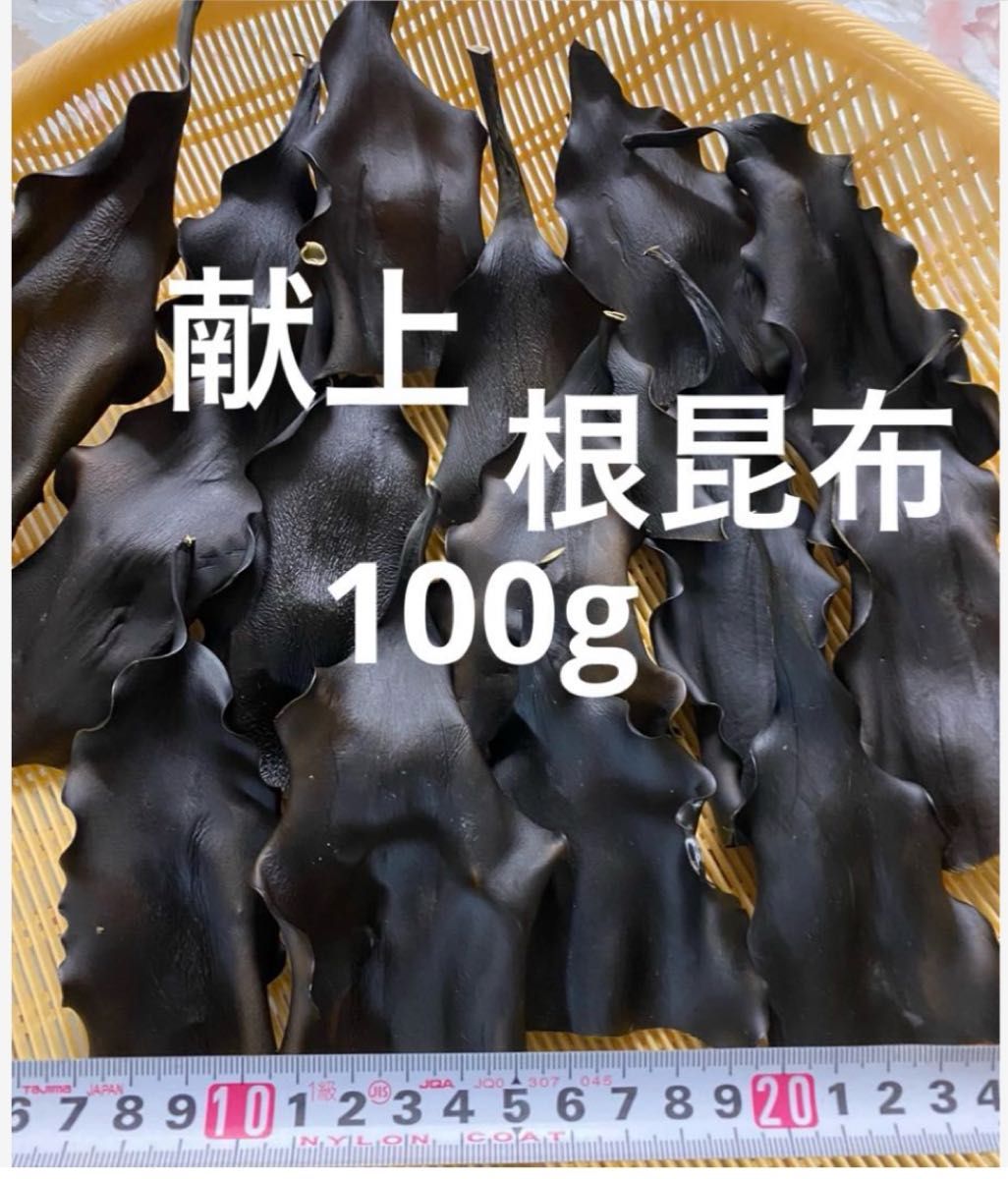 日高昆布　昆布　日髙　天然　北海道　根昆布　頭　根昆布だし　だし　100g