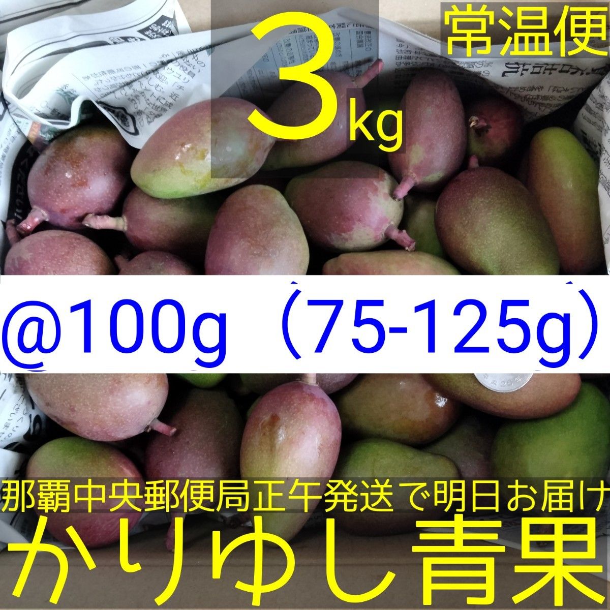 〈@100g 75-125g〉沖縄県産 摘果マンゴー/青マンゴー約３kg【常温便無料】②