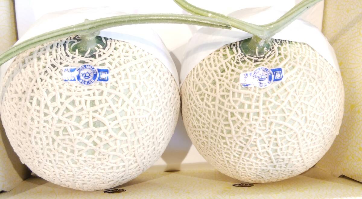 1 jpy ~ start [ Kochi prefecture production ] greenhouse melon 2 sphere. approximately 4.0.