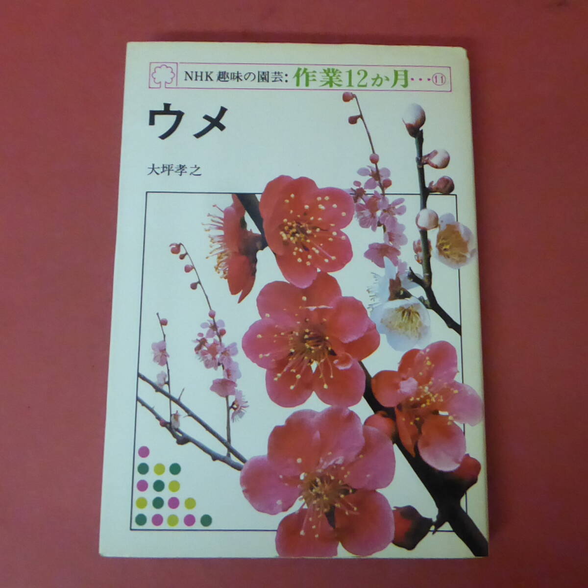 S3-240501☆ウメ　大坪孝之　　NHK趣味の園芸作業12か月⑪_画像1