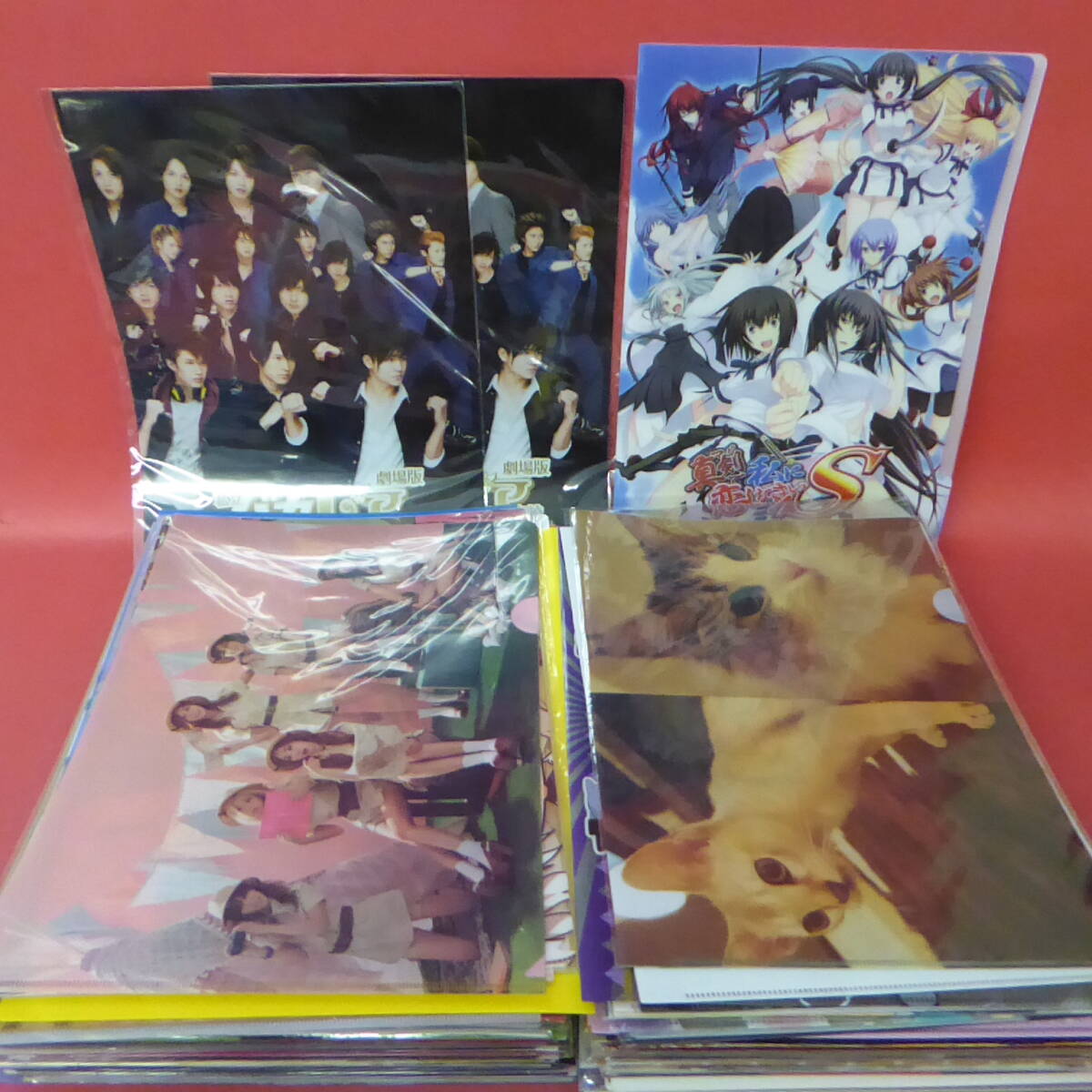 240521* clear file set sale (..* athlete * anime * dog * cat another )