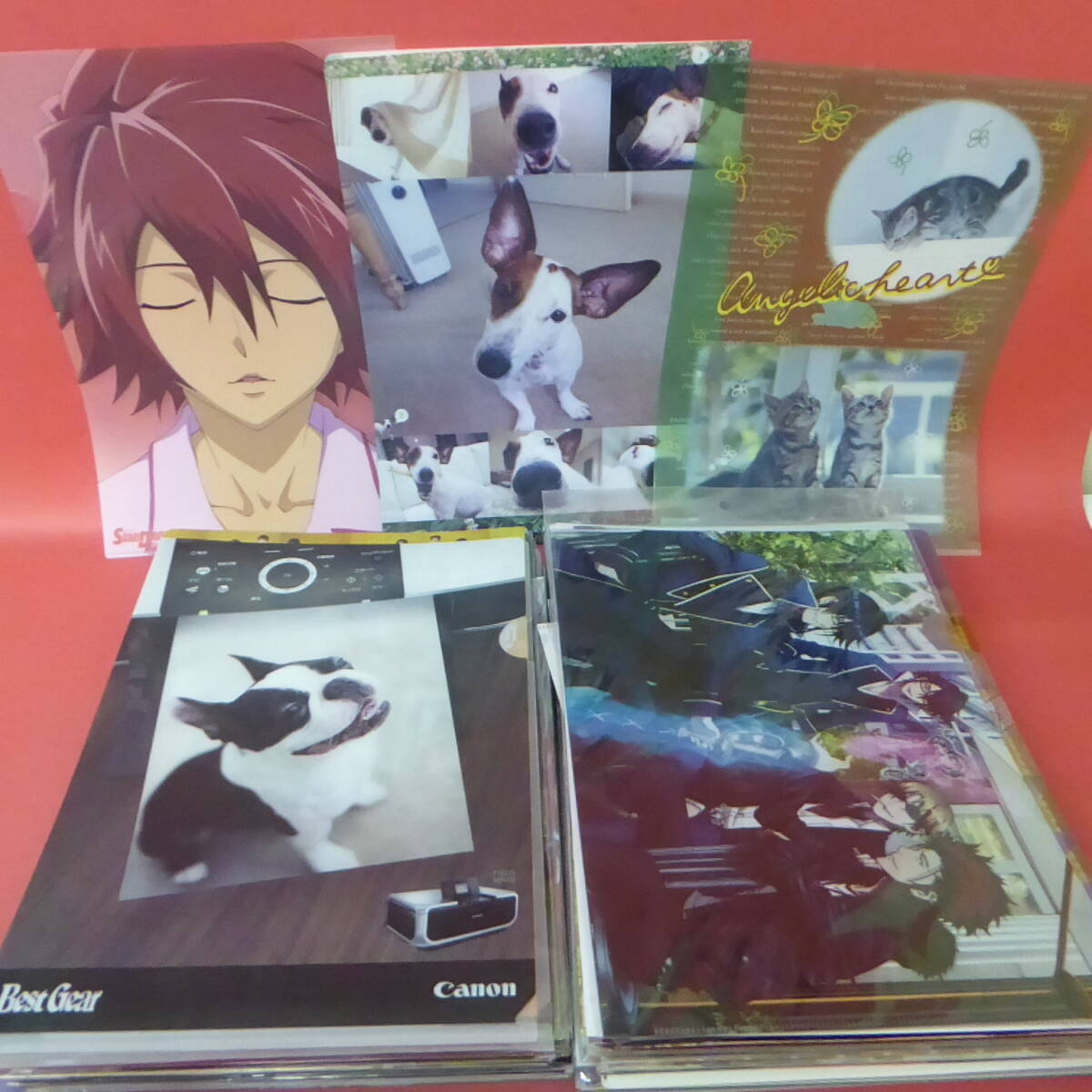 240521* clear file set sale (..* athlete * anime * dog * cat another )