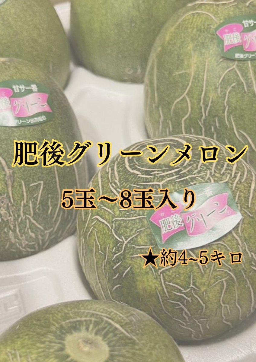 ★美味しくて甘い★『肥後グリーンメロン』（5～8玉入り）家庭用　果物 送料無料