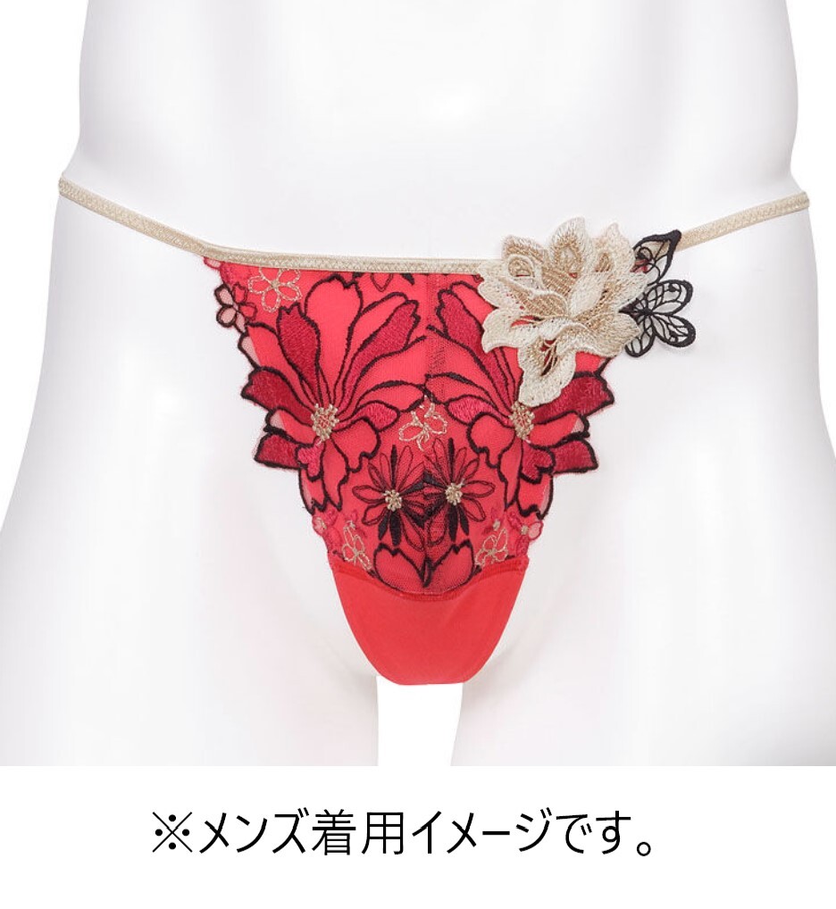 希少 WACOAL Salute/ワコール サルート メンズショーツ Tバック 希少 WACOAL Salute/ワコール サルート メンズショーツ Tバック