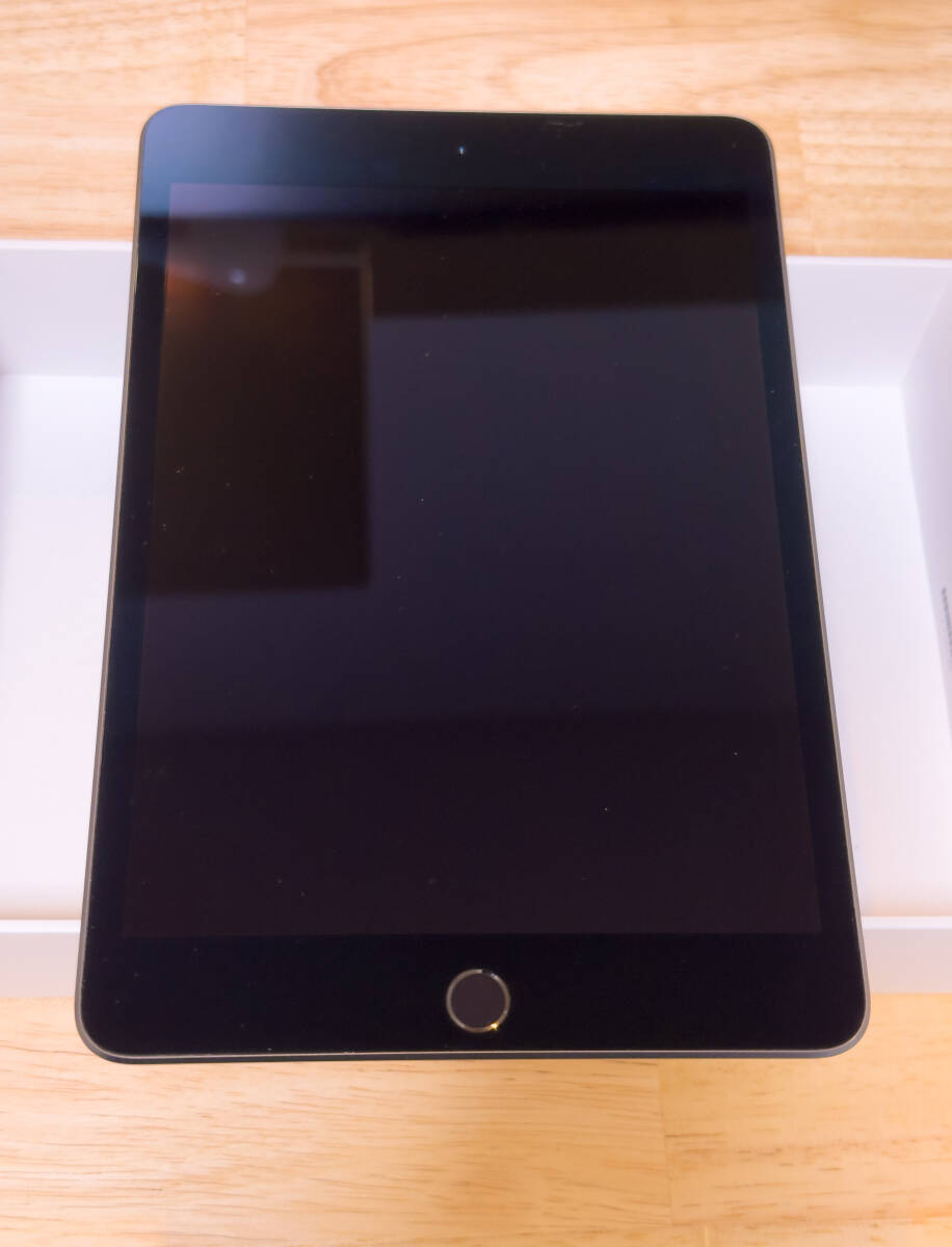  Apple iPad mini 7.9インチ 第5世代 Wi-Fi 256GB 2019年春モデル MUU32J/A [スペースグレイ]_画像3