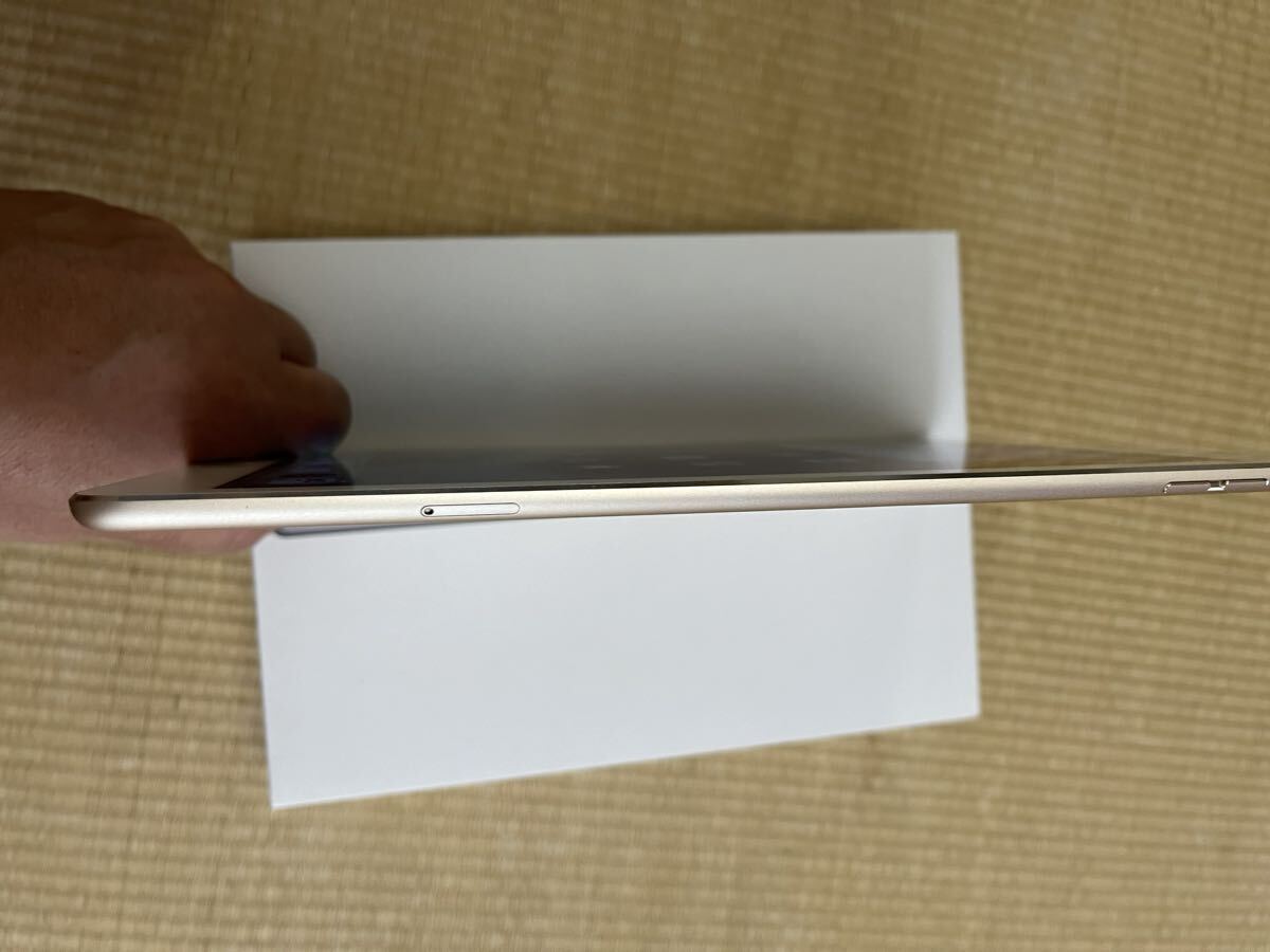 Apple iPad Air2 16GB Wi-Fi+Cellular ゴールドの画像4