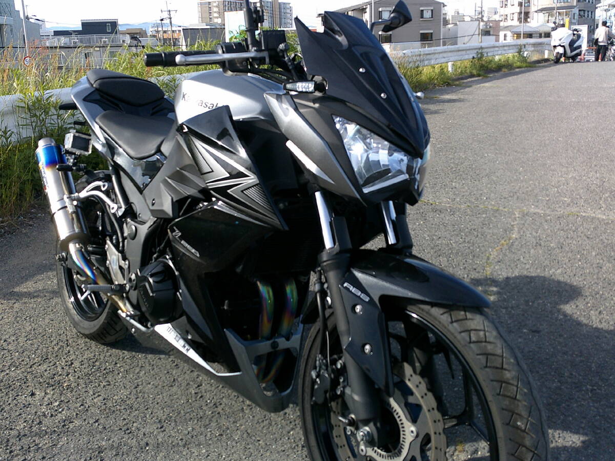 ネイキット　カワサキ　Z250　ABS付タイプ綺麗です　動画　書類有　検　ニンジャ２５０　ZXー２５R　ニンジャSL　YZF-R25　CB250R　GPZ　_画像1