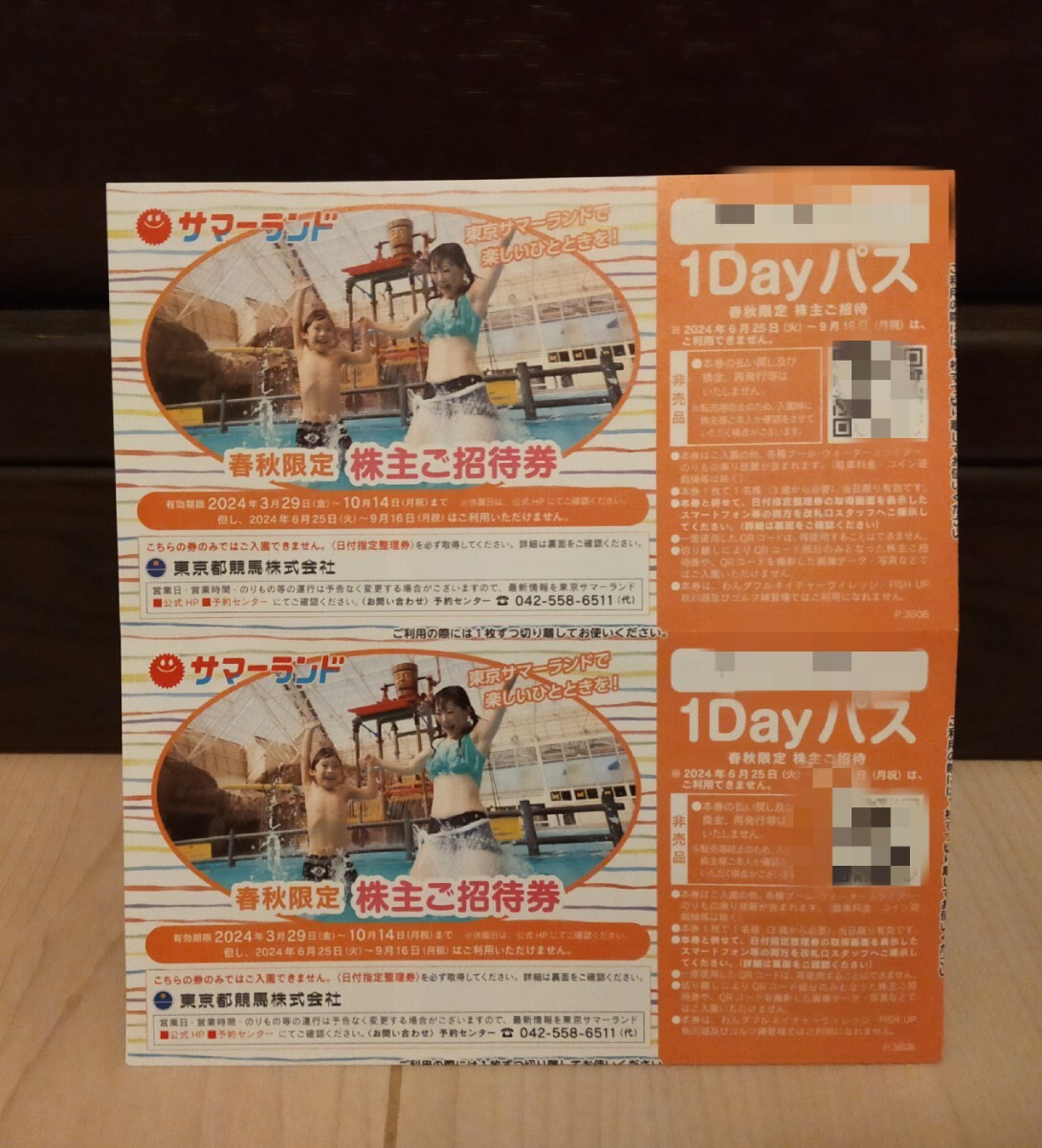  Tokyo summer Land stockholder invitation ticket free Pas invitation ticket 2 sheets set 