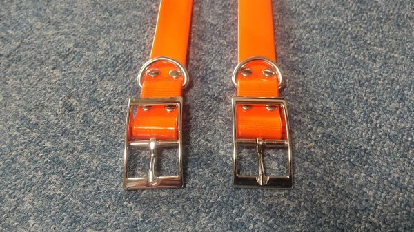  Garmin 2 pcs set necklace color orange new goods DC30 DC40 DC50 T5 [ astro 430 320 220 Astro ]