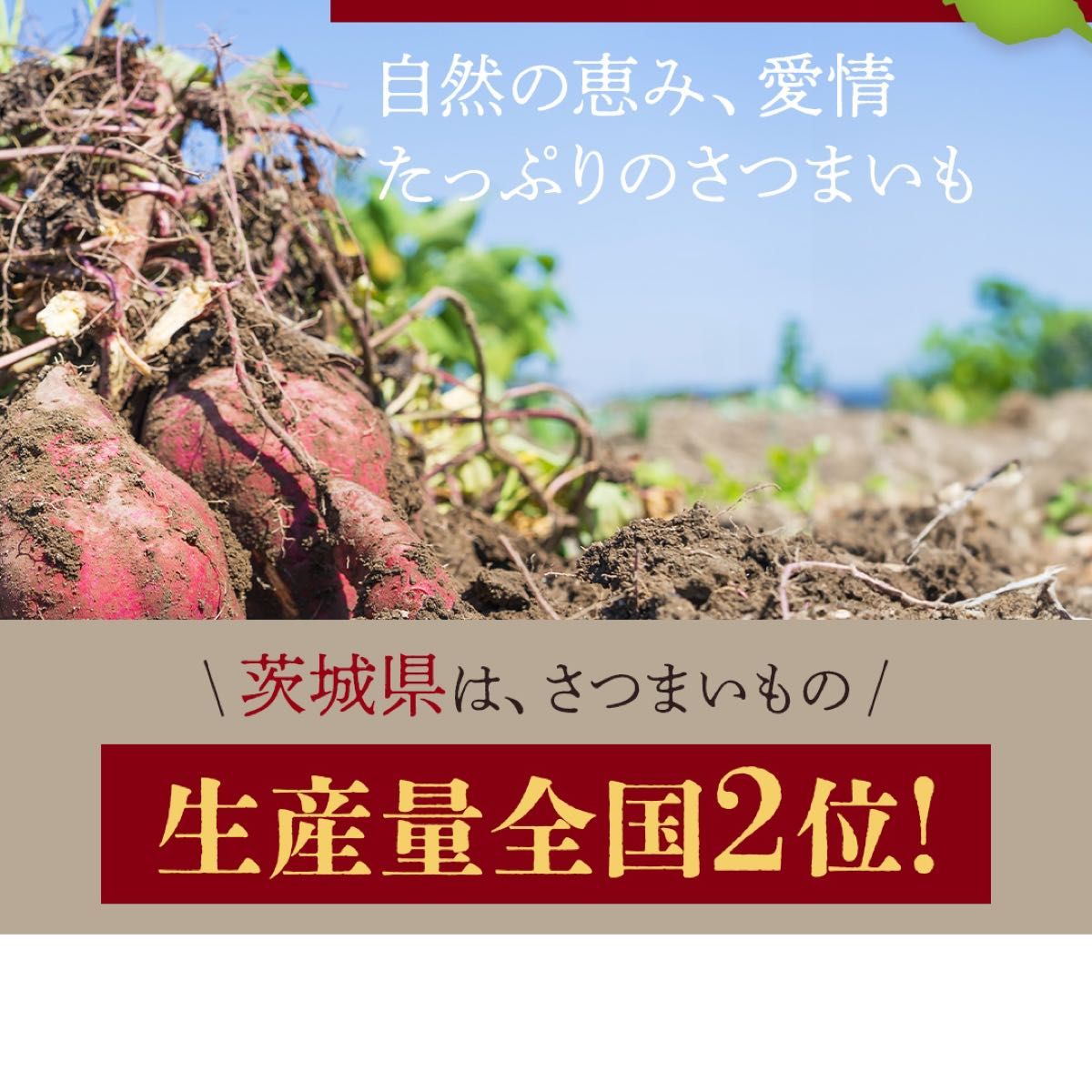 【干し芋プレゼント実施中】2kg 石焼き芋 熟成紅はるか使用 茨城県産 送料無料 干し芋 ダイエット