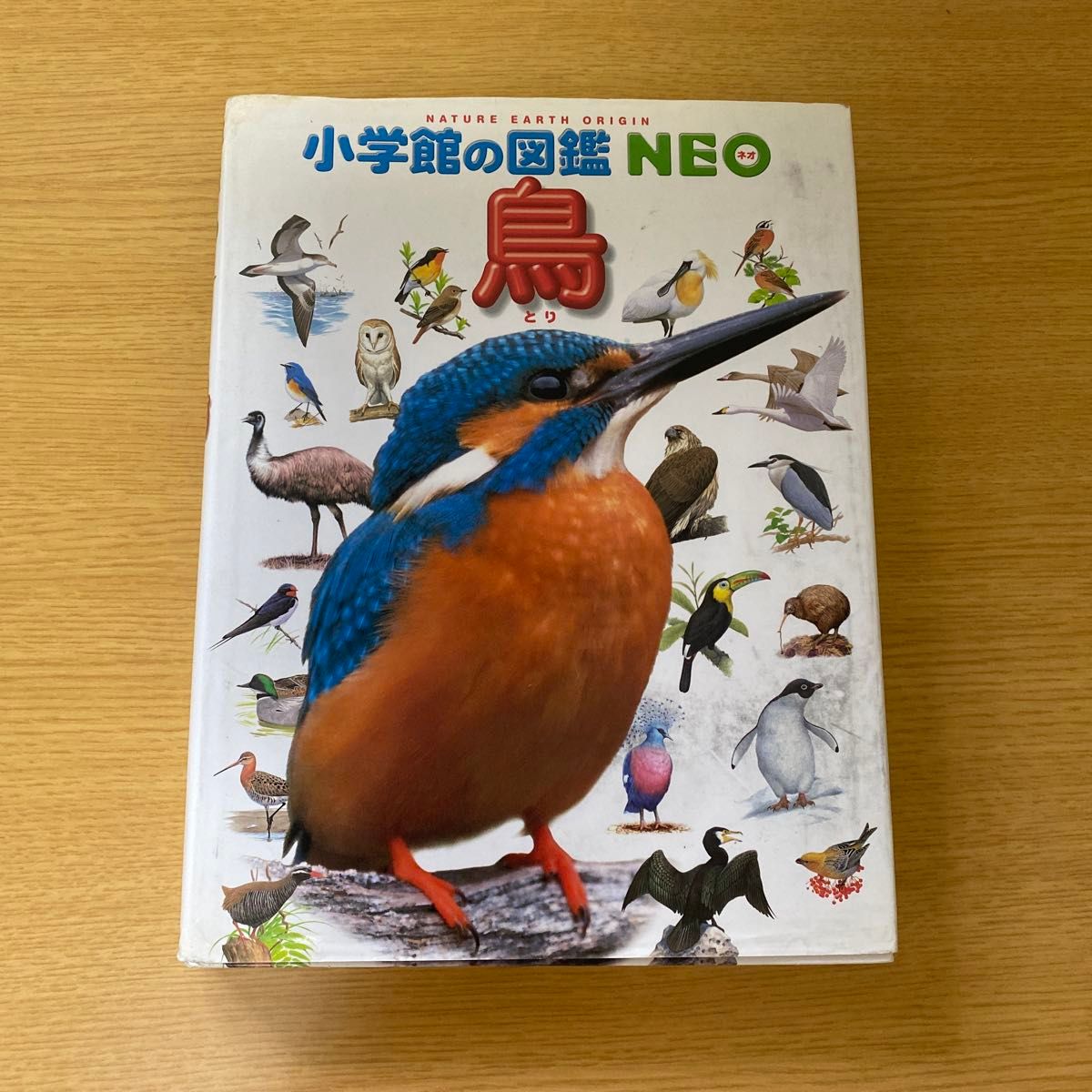 小学館の図鑑NEO 小学館の図鑑　鳥