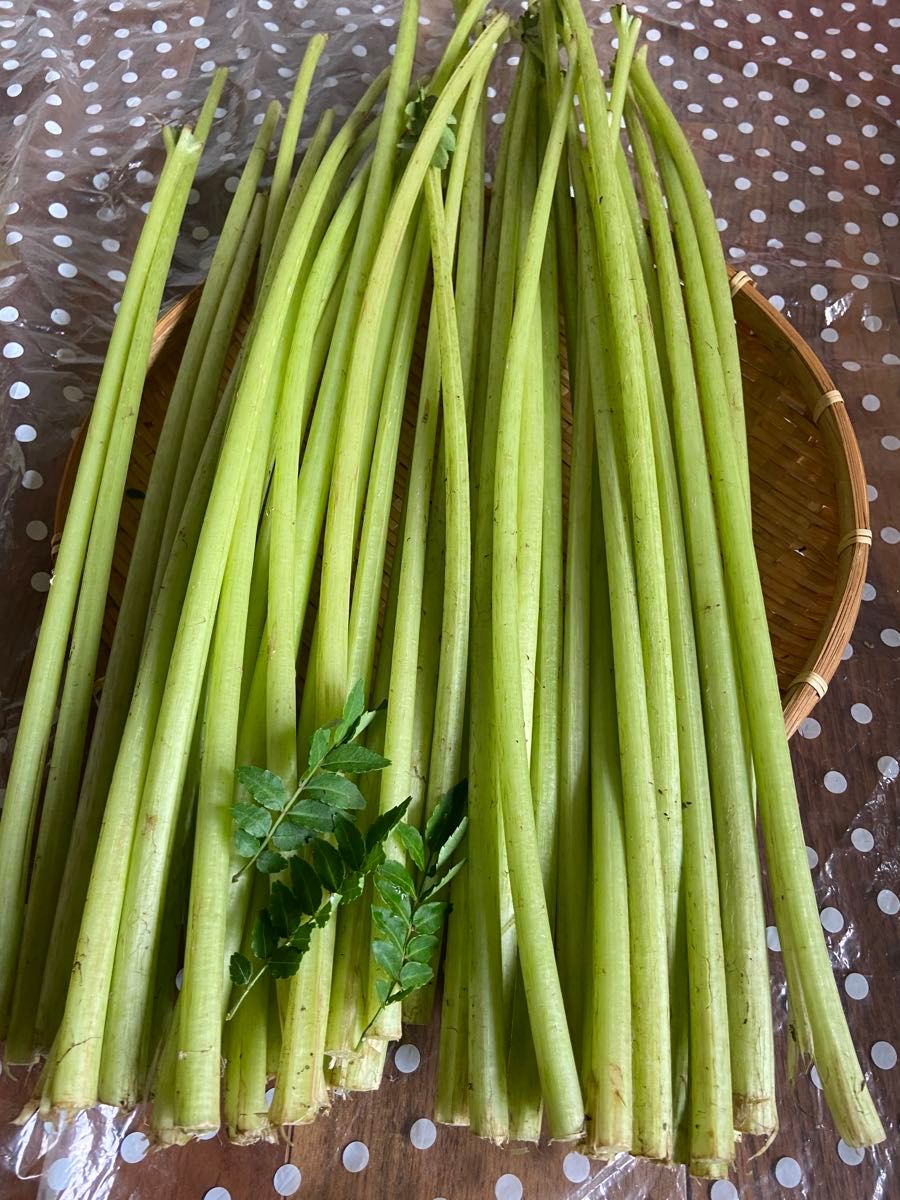 群馬県里山産　天然物水ふき　無農薬　注文後収穫　箱込み約700g   山椒の葉数枚サービス