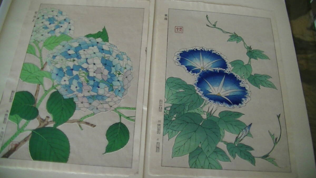 【木版画】日本の花こよみ　１１枚_画像5