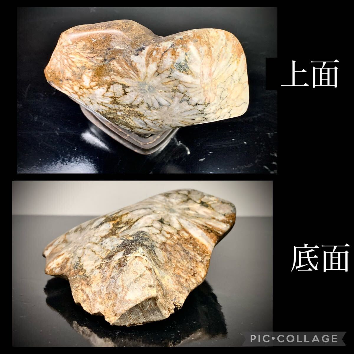 【水石復興イベント】 水石 盆栽 根尾菊花石 横13×高19(cm)1.12kg骨董盆石古美術鑑賞石観賞石太湖石中国古玩 5853_画像8