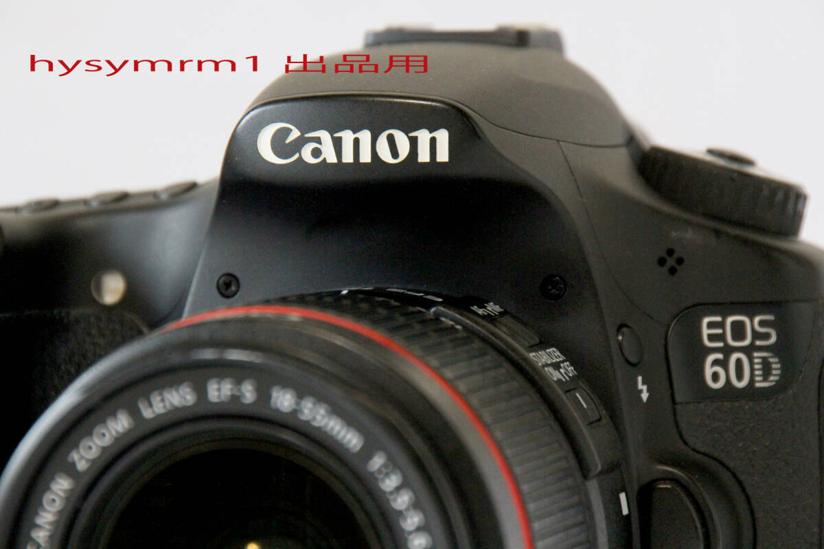 CANON EOS60D シャッター極少約5,950回 +CANON 標準ズーム EF-S 18-55mm ISⅡ赤ライン装飾 完全動作 美品セット 送料無料 _CANON EOS60D +EF-S 18-55mm ISⅡ 完動美品