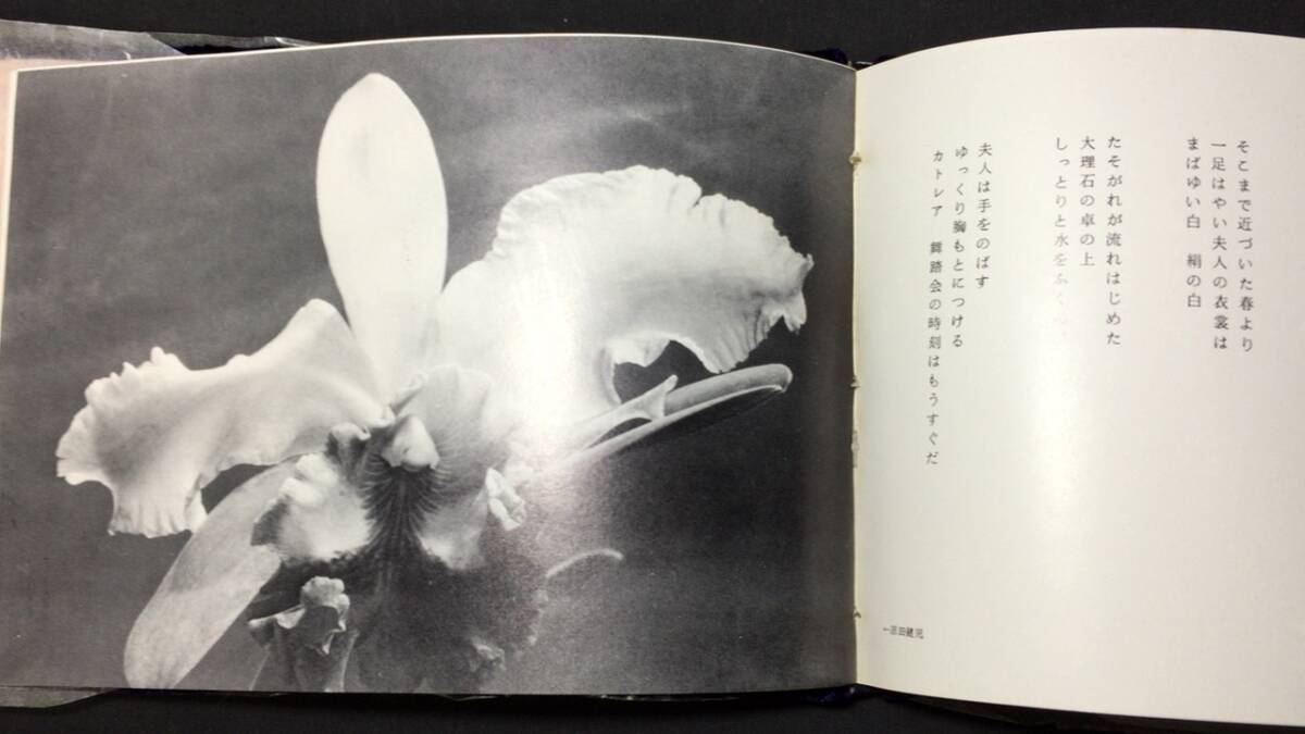 【著者署名入り・家蔵版】『回転木馬』●西川満著●人間の星社●1975年発行●全75P_画像6