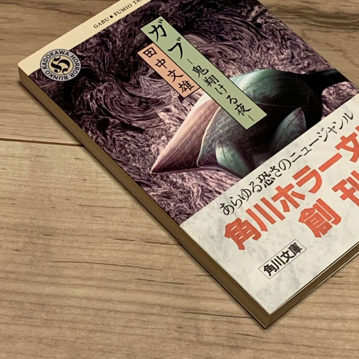 初版帯付 田中文雄 ガブ 鬼翔ける夜 角川ホラー文庫 初版帯付 田中文雄 ガブ 鬼翔ける夜 角川ホラー文庫