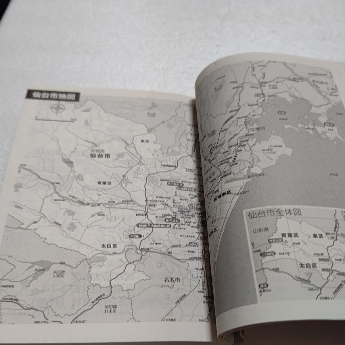 これでいいのか宮城県仙台市 これを読めば宮城県仙台市の全てがわかる! 仙台市と市民の本質を分析解明し杜の都の進むべき未来を論じる！！