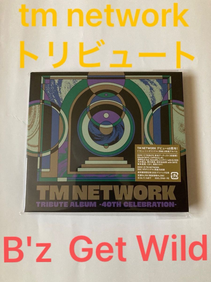 tm network tribute CD tmネットワーク　トリビュート　B'z GRe4N BOYZ 松任谷由実　西川貴教