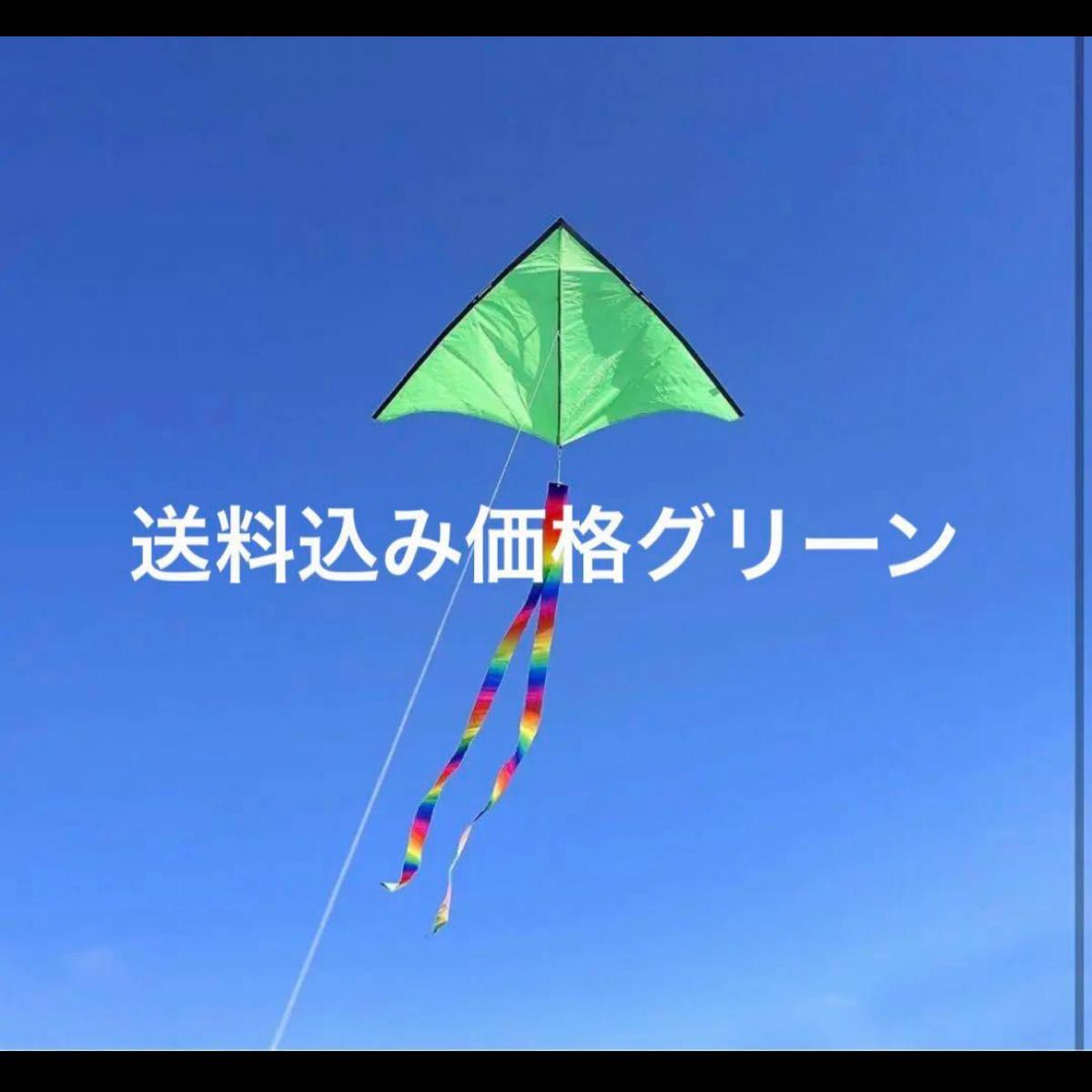 emma kites 1.5M100M凧糸とハンドル付き 超簡単に揚がる凧