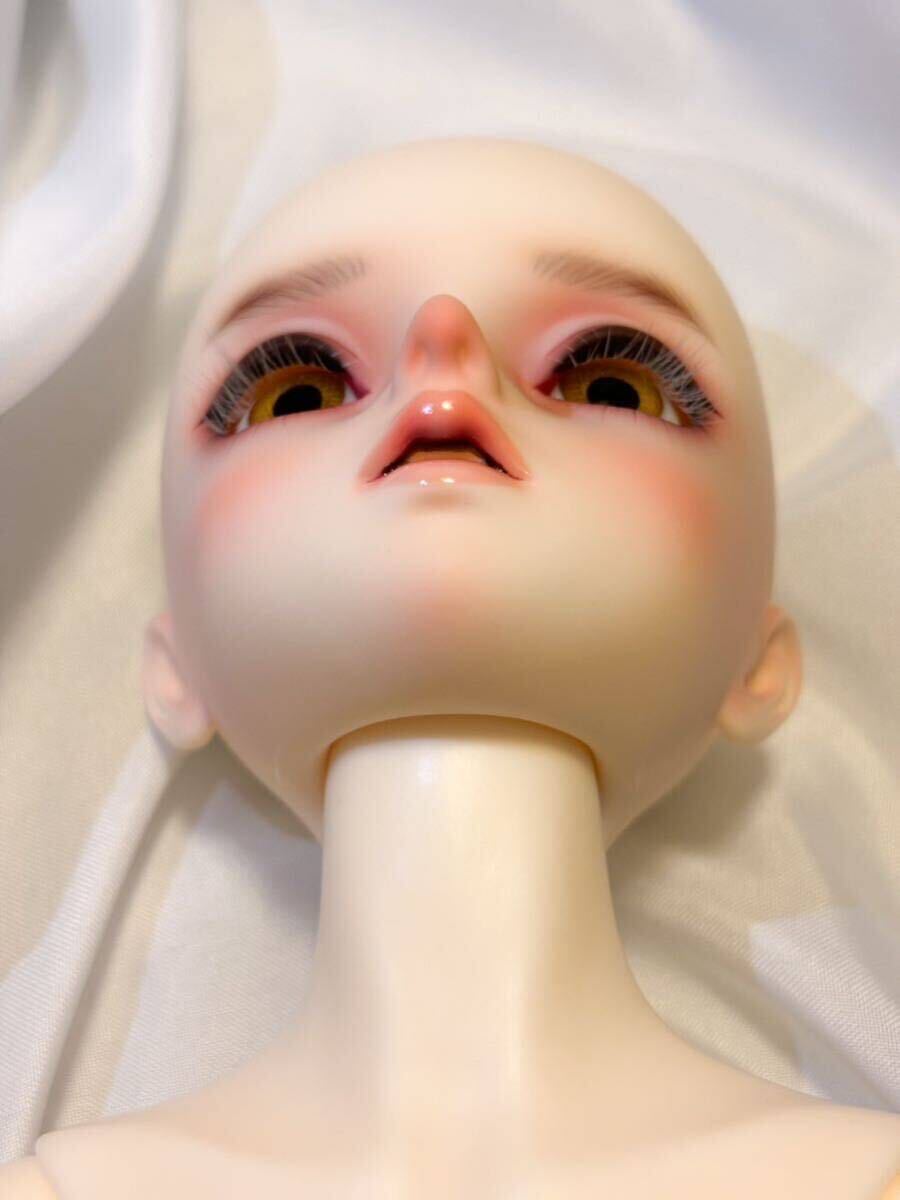 Yahoo!オークション - SDM男の子 Oliver ～the Smart Goat
