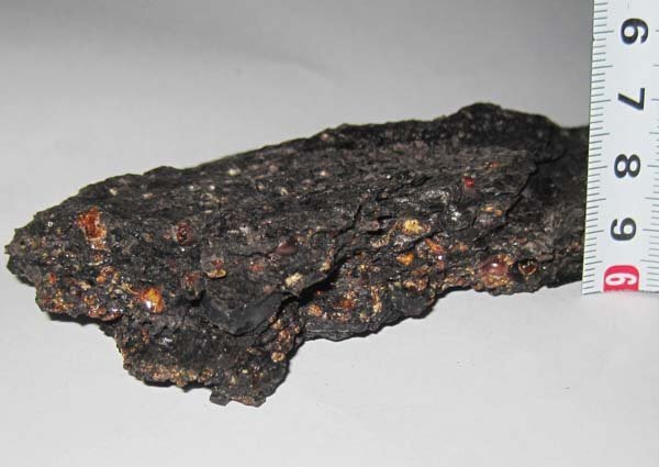 日本の化石　兵庫県神戸の琥珀/コハク母岩つき（メタセコイアの樹液の化石）蛍光します_画像4