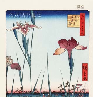 真作保証　東京都伝統工芸品　　歌川広重 　木版画 名所江戸百景 #064 堀切の花菖蒲 　初版1856-58年頃　広重の世界を唸らせた名構図!　　