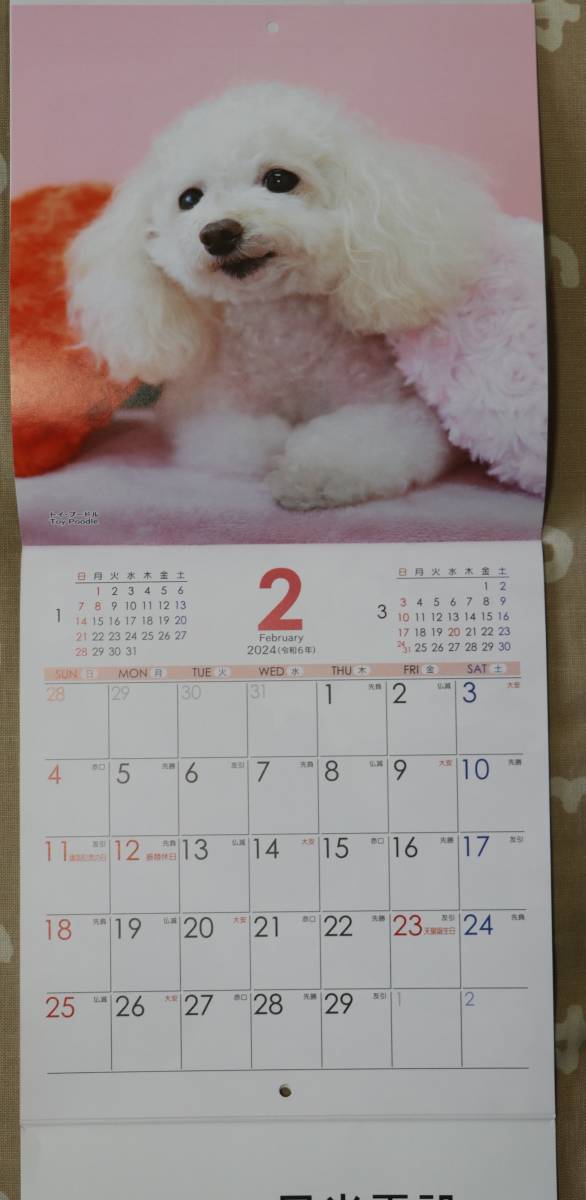 2024 カレンダー 暦 dog 日光電気 送料140円～の画像3