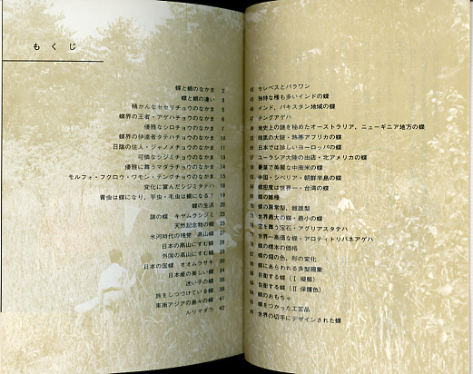 # цвет книги 201[ японский бабочка * мир. бабочка ]