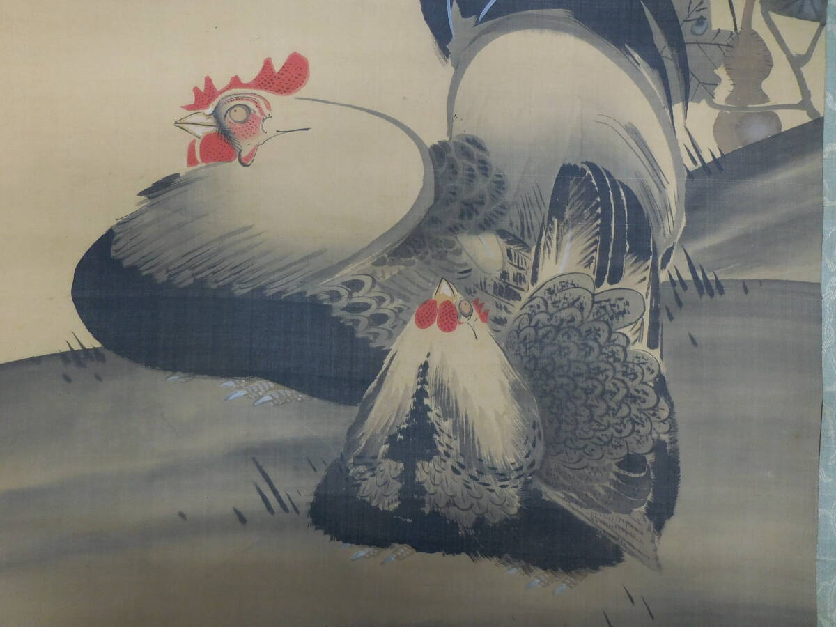 伊藤若冲　『鶏と朝顔』　水墨掛け軸　模写　合わせ箱_画像5