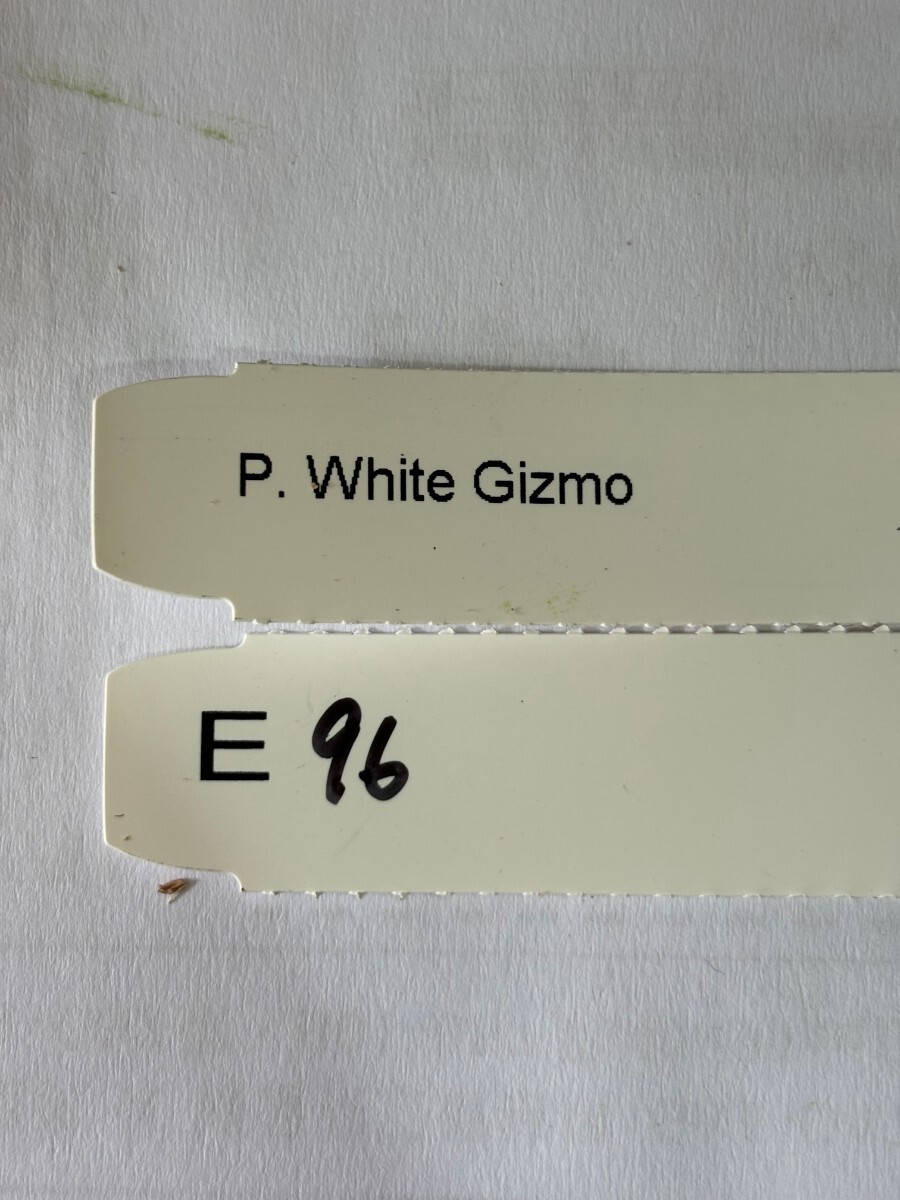 E96,P. White Gizmo OC pup. АО АО разделение 