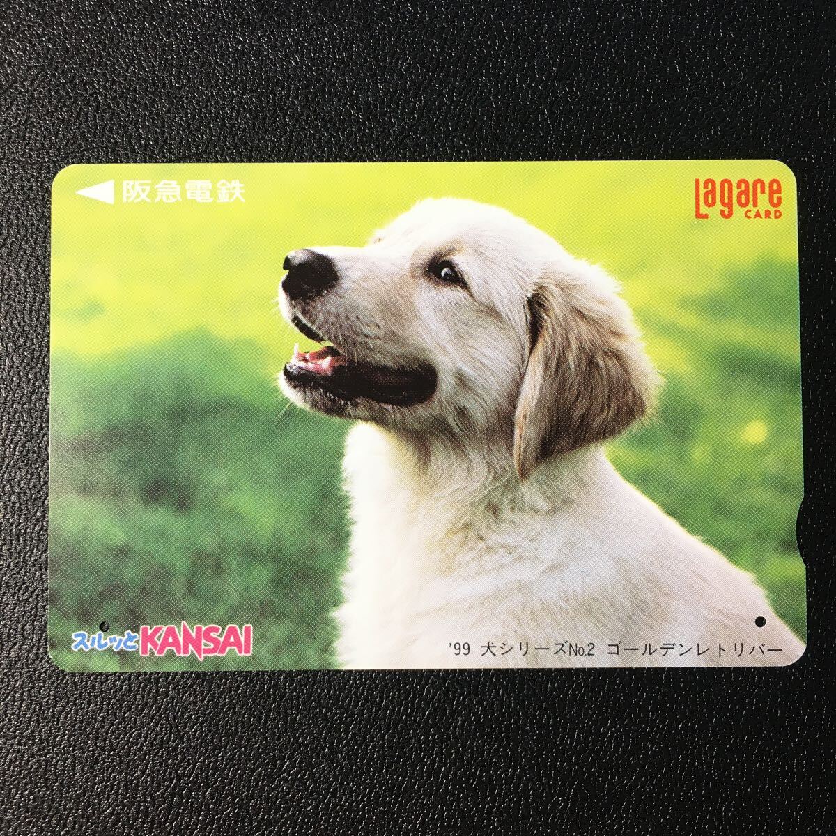 1999年4月1日発売柄ー犬シリーズ「ゴールデンレトリバー」ー阪急ラガールカード(使用済スルッとKANSAI)_画像1