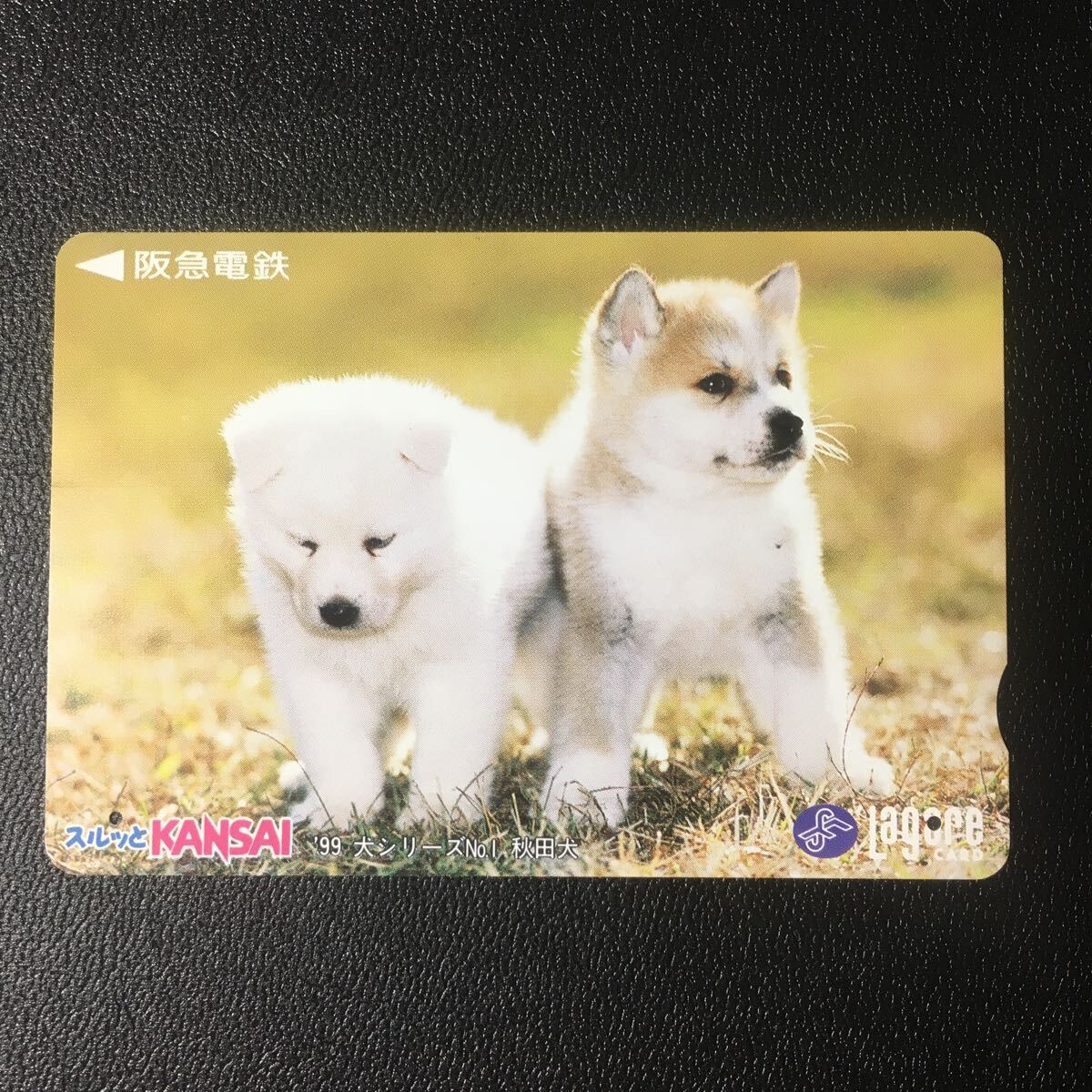 1999年1月1日発売柄ー犬シリーズ「秋田犬」ー阪急ラガールカード(使用済スルッとKANSAI)_画像1