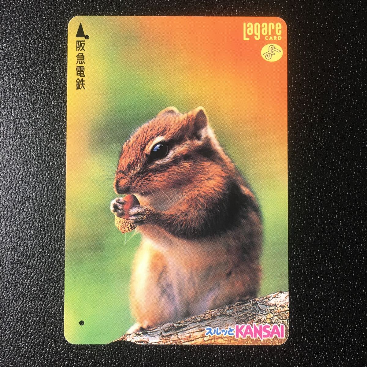 1997年10月1日発売柄ー動物シリーズ「リス」ー阪急ラガールカード(使用済スルッとKANSAI)_画像1